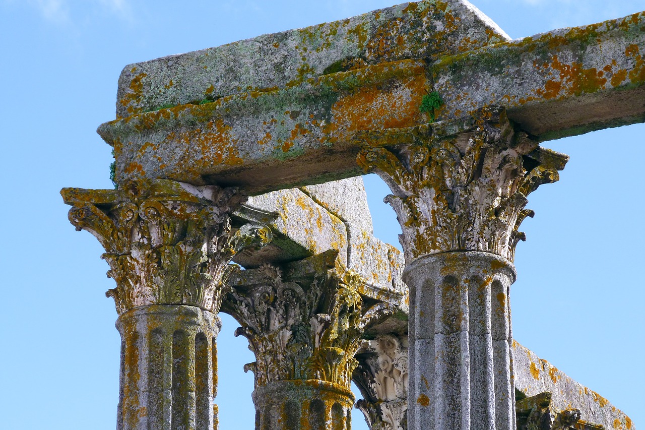 The Fall of the Western Roman Empire - Key Factors